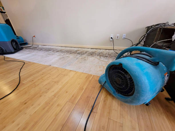 Reliable Basement Flood Cleanup contractor in Kirkwood, MO by Hirex Water Damage
