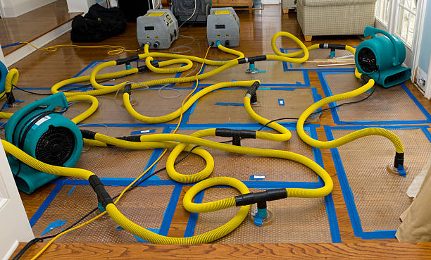 Professional Basement Flood Cleanup technician working in Kirkwood, MO